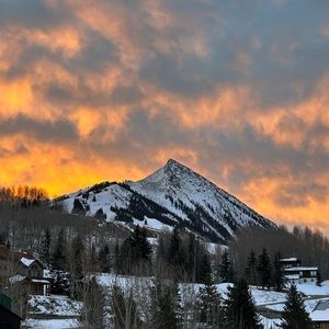 Meet your Posher, Maddie